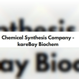Chemical Synthesis Company KareBay Biochem image