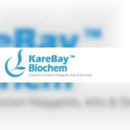 KareBay Biochem image