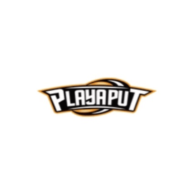 Playaput image