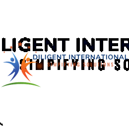 Diligent International image