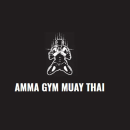 AMMA Gym Muay Thai image