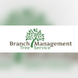 Branch Management Tree Trimming Reviews | RateItAll