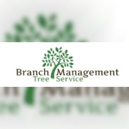 Branch Management Tree Trimming image