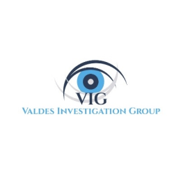 Valdes Investigation Group image