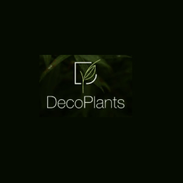 Deco Plants image