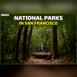 Plan Your Escape to the Stunning National Parks in San Francisco Reviews | RateItAll