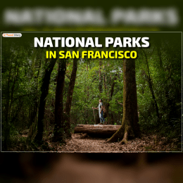 Plan Your Escape to the Stunning National Parks in San Francisco image