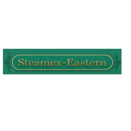 Steamex Eastern of Toledo image