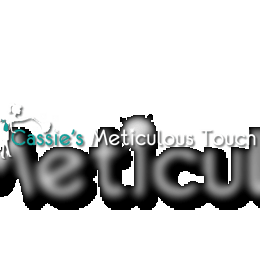 cleaning services ocala fl image