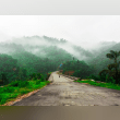 Best Things to Do in Winter in Kochi: A Traveler’s Delight Reviews | RateItAll