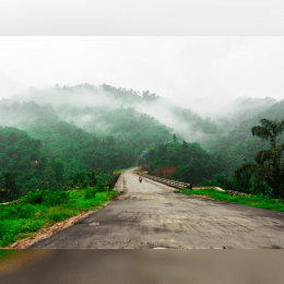 Best Things to Do in Winter in Kochi: A Traveler’s Delight image