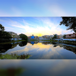 Best Things to Do in Winter in Chennai: A Complete Guide image