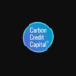 Carbon Credit Capital Reviews | RateItAll