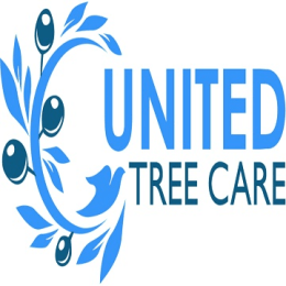 United Tree Care LLC image