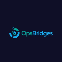OpsBridges technologies & Consulting Pvt Ltd image