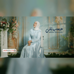 كلمات اغنية هنحب تاني نداء شرارة image