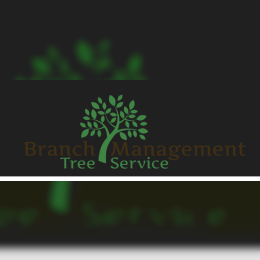 Branch Management Professional Tree Removal Services image