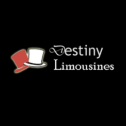 Destiny Limousine Ltd image