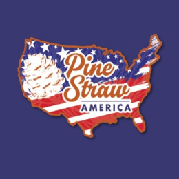 Pinestraw America image