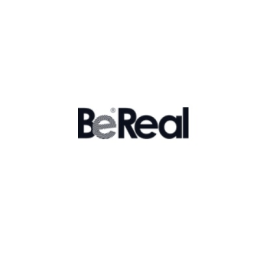usebereal image