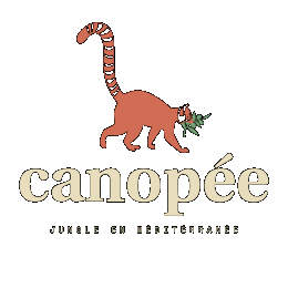 Canopé Marseille image