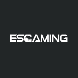 Esgaming image