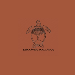 Discover Socotra image