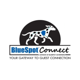 BlueSpot Connect image