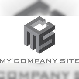 MY COMPANY SITE image
