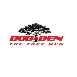 Bob and Ben the Tree Men image