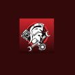 motosparta Reviews | RateItAll