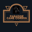 Paradise Cane Corsos Reviews | RateItAll