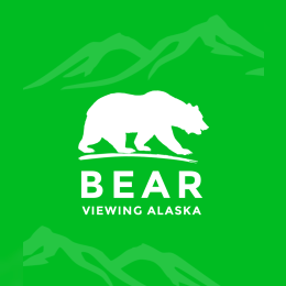 Bear Viewing Tours Alaska image