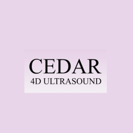 cedar4dultrasound image