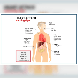 What Are the Symptoms of a Heart Attack: Early Warning Signs image