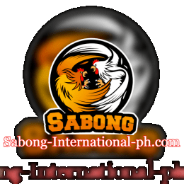 sabonginternationalphcom image
