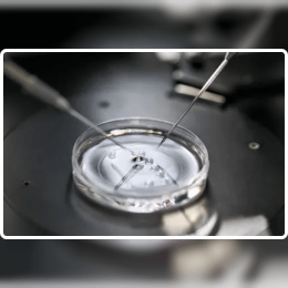PICSI Treatment in Hyderabad: Advanced Sperm Selection image