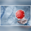 Preimplantation Genetic Testing in Hyderabad: Medicover Fertility Reviews | RateItAll