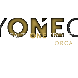 Celine Williams Real Estate Broker image