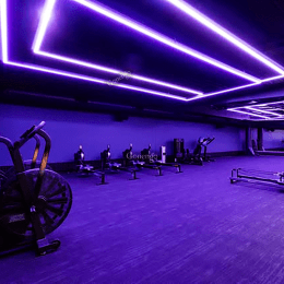 Inspection Lights for Gym Training image