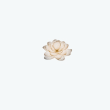 Lotus @ Queensway Medical Reviews | RateItAll