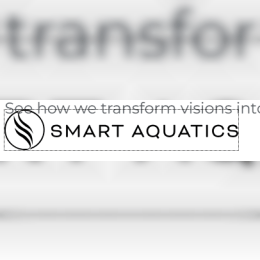 Smart Aquatics image