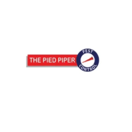 thepiedpiper image