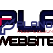 Plano Website Design Reviews | RateItAll