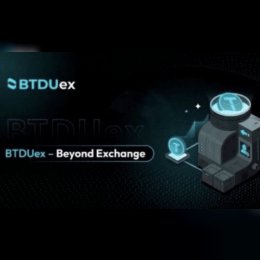 BTDUex image