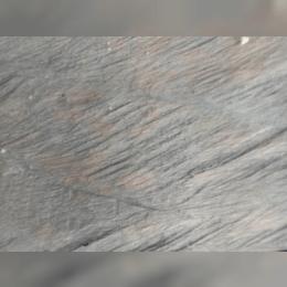 Ini cara menghubungi Call center muamalat Via WhatsApp di  resmi image