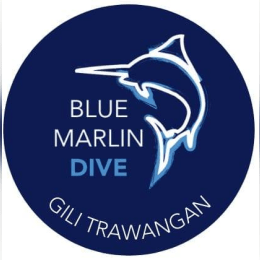 The PADI IDC Gili Trawangan – Gili Islands image