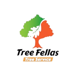 Tree Fellas image