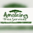 Amazing Tree Services Reviews | RateItAll