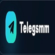 TelegSMM image